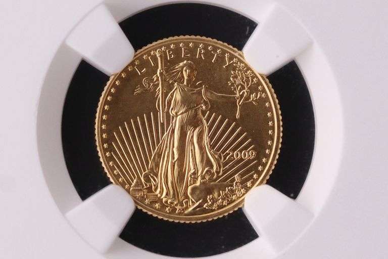 2009 Eagle Gold US $5 Coin