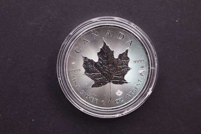 2020 Canada1 oz Silver Maple Leaf .9999