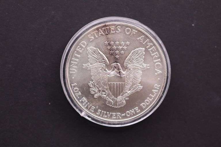2005 USA 1 oz Silver Eagle .999