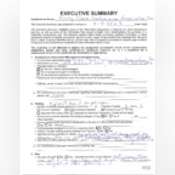 Thumbnail image of Executive Summary.pdf