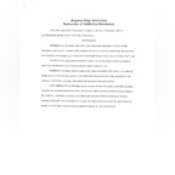 Thumbnail image of Subdivision Rules and Declarations_000018.pdf