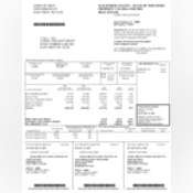 Thumbnail image of 2024 Tax Record.pdf