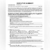 Thumbnail image of Executive Summary.pdf
