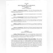 Thumbnail image of By Laws.pdf