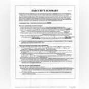 Thumbnail image of Exec Summary.pdf