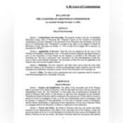 Thumbnail image of Bylaws.pdf