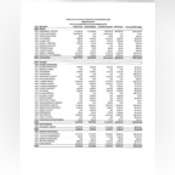 Thumbnail image of Budget 2.pdf