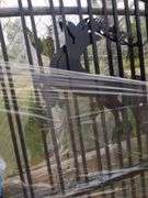 UNUSED 14' BI-PARTING GATES W/ DEER SCENE