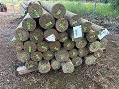 (35)pc 6" X 8' PRESSURE TREATED TAPERED POSTS