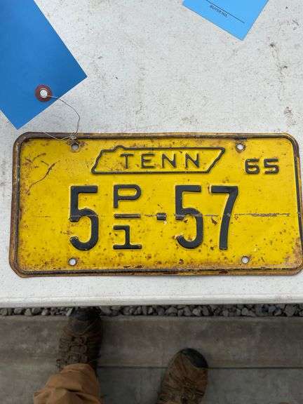 TN 65 LICENSE PLATE