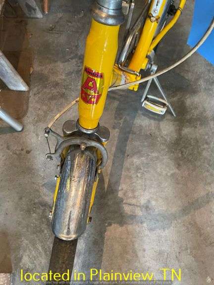 AMICA BICYCLE
