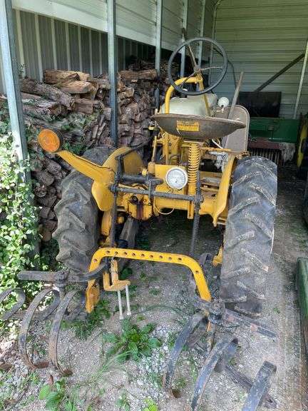 International Cub
