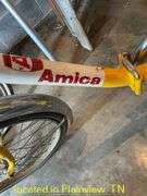 AMICA BICYCLE