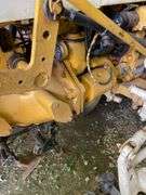 International Cub