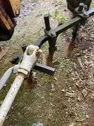 International Cub
