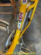 AMICA BICYCLE