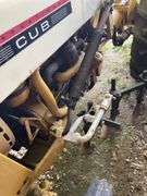 International Cub
