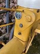 International Cub