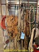 LOT OF NYLON & GRASS ROPES--RACK NOT INCLUDED