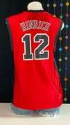 Red Chicago Bull's jersey: Hinrich #12