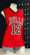 Red Chicago Bull's jersey: Hinrich #12