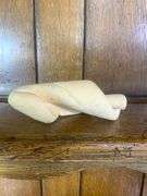 Sea Shell Lot