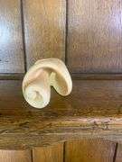 Sea Shell Lot
