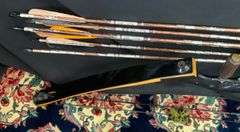 Darton SL50 Compound Bow with Kwikee Kwiver Clamp-On 6-Arrow Bow Quiver & 11 Arrows