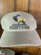 7 Men’s Ball Cap Lot