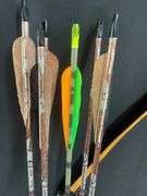 Darton SL50 Compound Bow with Kwikee Kwiver Clamp-On 6-Arrow Bow Quiver & 11 Arrows