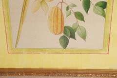 Pair of John Richard Artwork