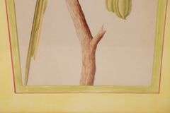 Pair of John Richard Artwork