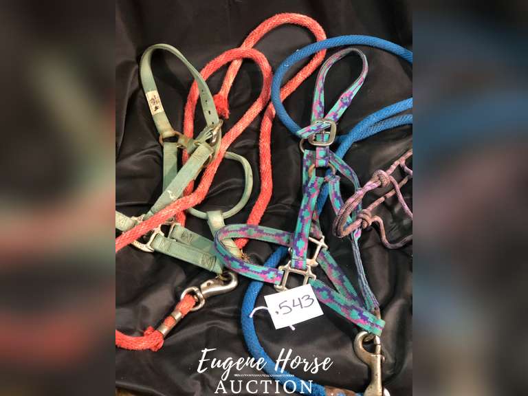 Halter lot