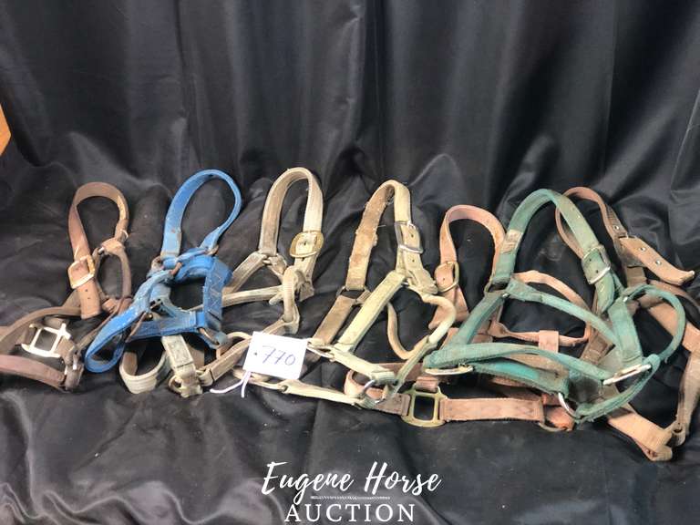 halter lot