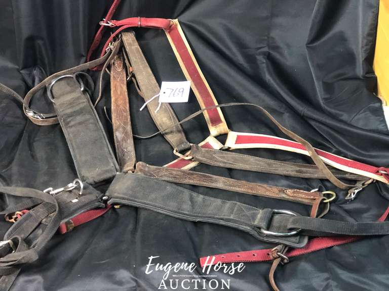 Breastcollar lot
