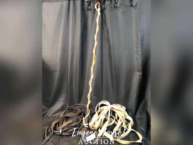 Driving reins, stick n string