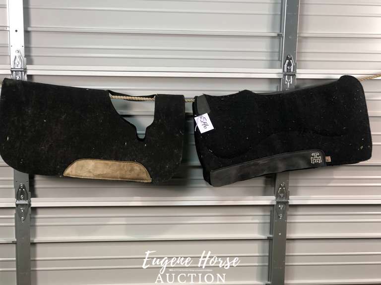 Team equine pad