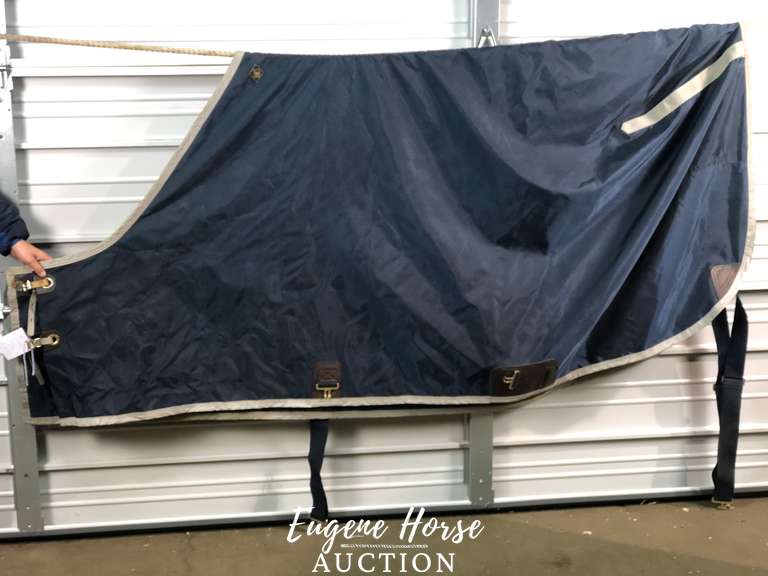 Big D sheet