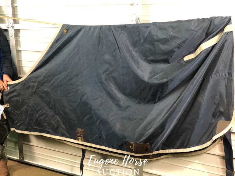 Big D sheet