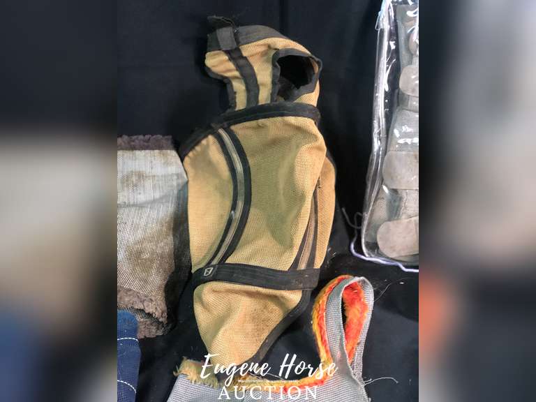 Fly masks, fly boots
