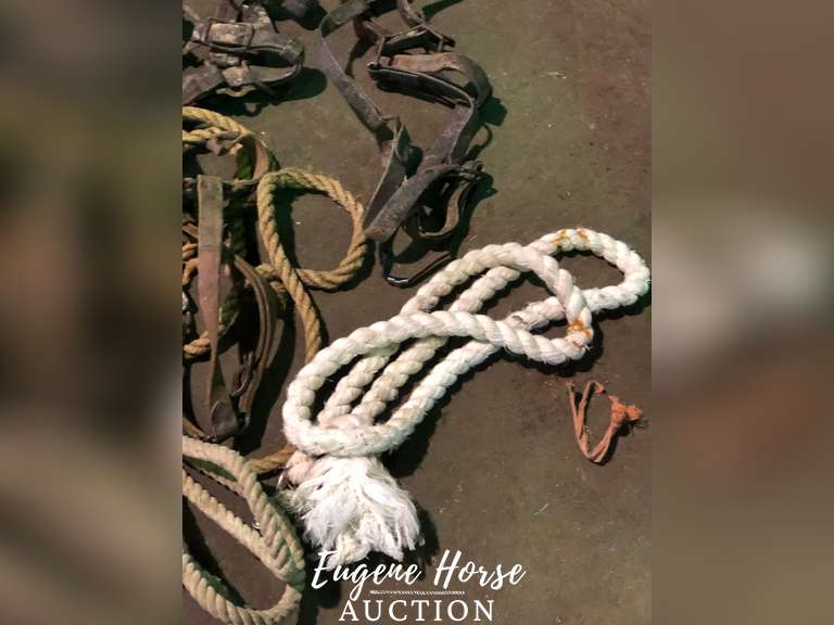 Old draft halters