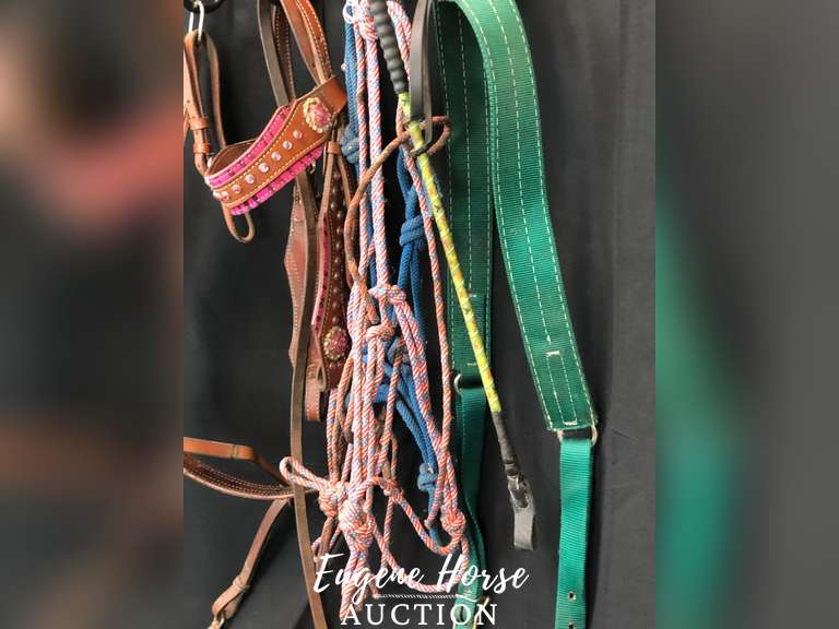 Tack set/lot