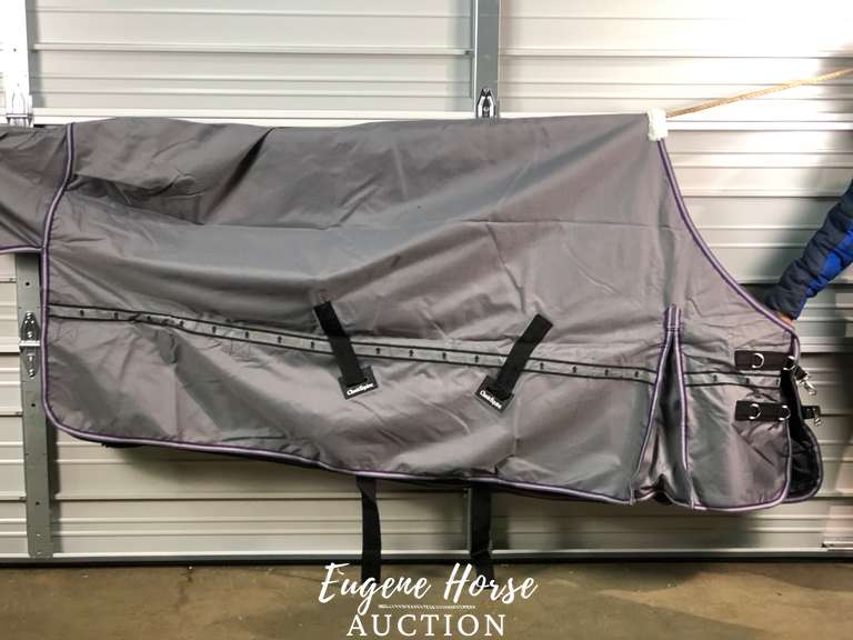 New Turnout blanket