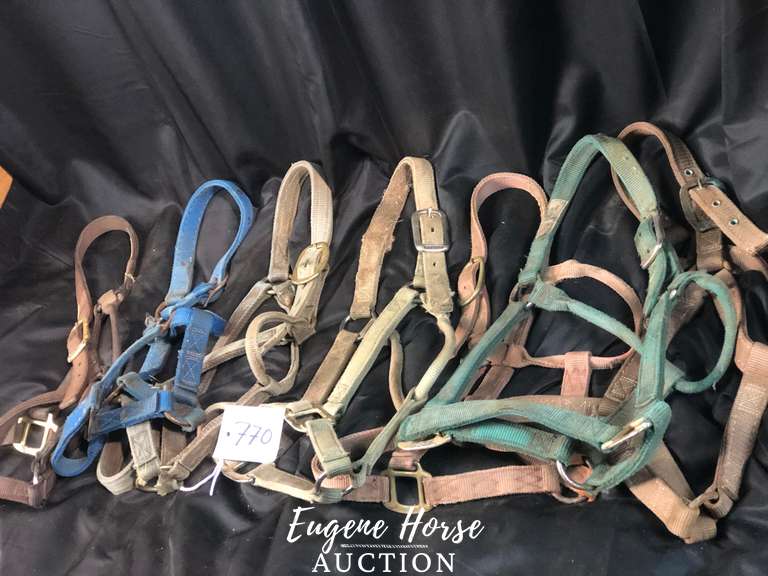 halter lot