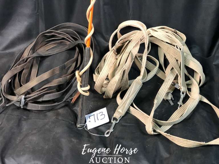 Driving reins, stick n string