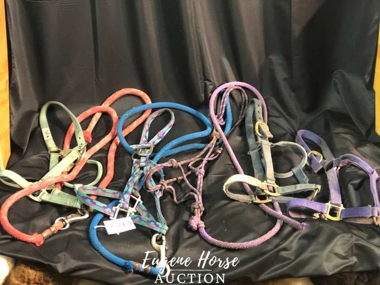 Halter lot