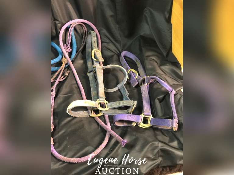 Halter lot