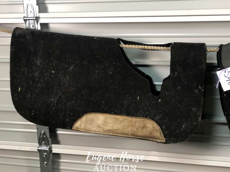 Team equine pad