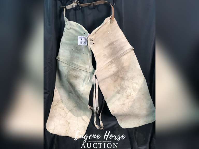 Farrier Chaps