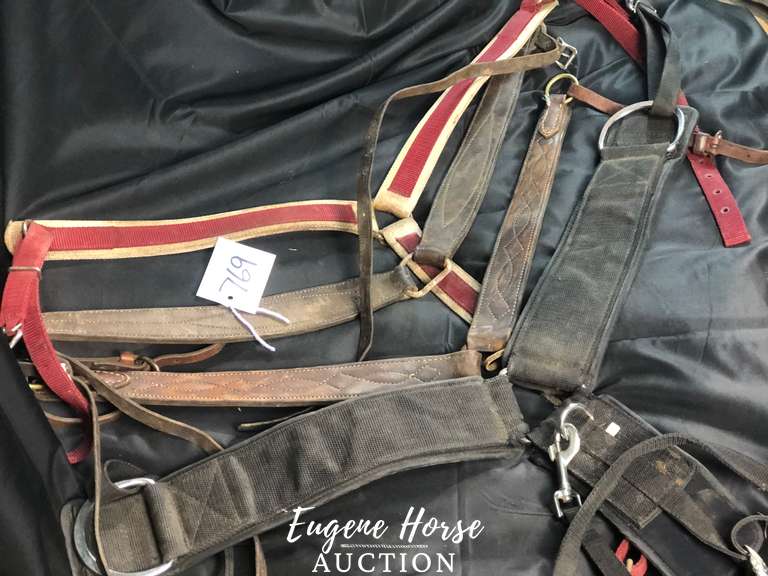 Breastcollar lot